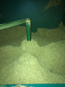 Image of hops being processed into pellets. Afew days after the hops have been harvested and dried they are pelletized in order to store more easily and preserve the oils and acids. in the hops.