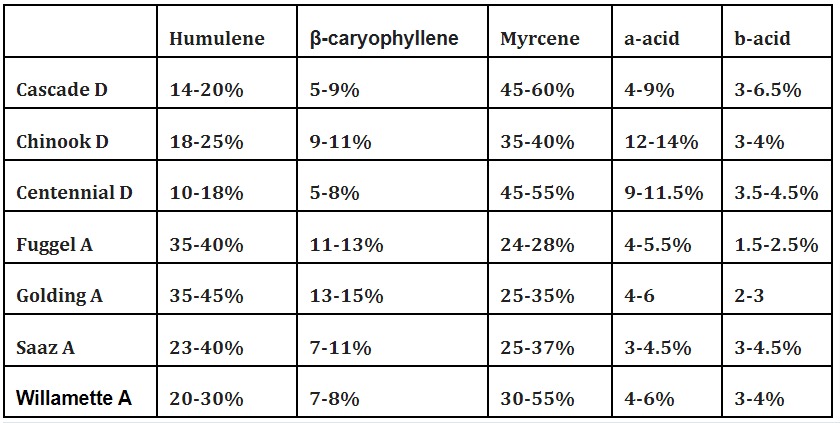 This is an image showing the average oil and acid readings for the 8 varieties of brew fops at Bloomfield Hops Farm. Their content in the table is as follows. Cascade have humulene 14-20%, β-caryophyllene 5-9%, Myrcene 45-60%, a-acid 4-9%, b-acid 3-6.5%. Chinook have 18-25% Humulene, β-caryophyllene 9-11%, Myrcene 35-40%, a-acid 12-14%, b-acid 3-4%. Centennial have 10-18% Humulene, β-caryophyllene 5-8%, Myrcene 45-55%, a-acid 9-11.5%, b-acid 3.5-4.5%. Fuggel have 35-40% Humulene, β-caryophyllene 11-13%, Myrcene 24-28%, a-acid 4-5.5%, b-acid 1.5-2.5%. Golding have 35-45% Humulene, β-caryophyllene 13-15%, Myrcene 25-35%, a-acid 4-6%, b-acid 2-3%. Saaz have 23-40% Humulene, β-caryophyllene 7-11%, Myrcene 25-37%, a-acid 3-4.5%, b-acid 3-4.5%. Willamette have 20-30% Humulene, β-caryophyllene 7-8%, Myrcene 30-55%, a-acid 4-6%, b-acid 3-4%.